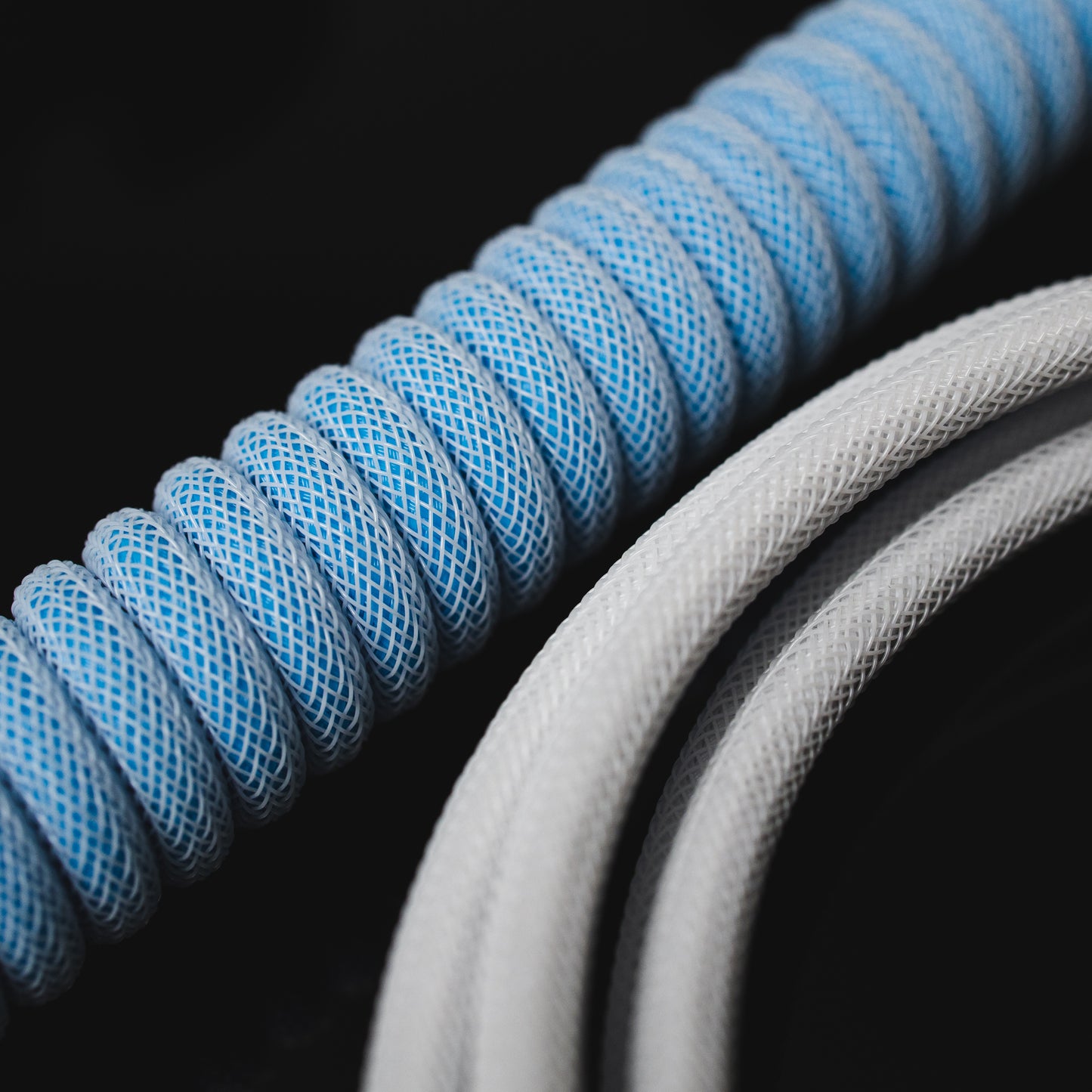Closeup of coiled and straight cable with Teleios aqua blue on the coil, Teleios Polar white on the straight bundle, and white TechFlex.