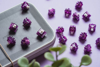 Prevail Nebula Switches V2