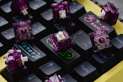 Prevail Nebula Switches V2