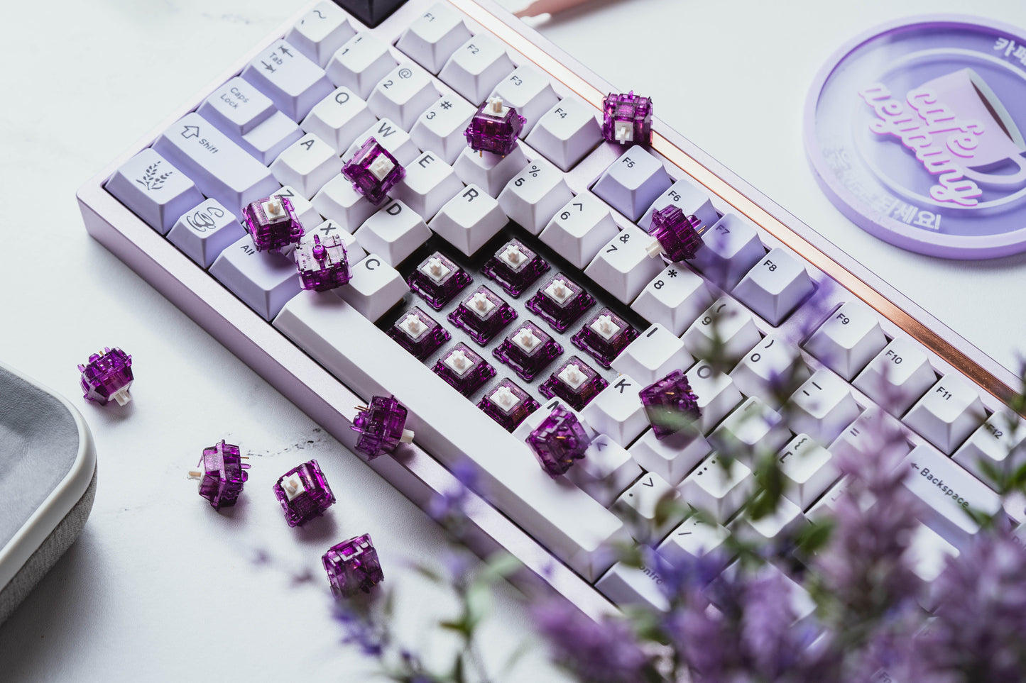 Prevail Nebula Switches V2