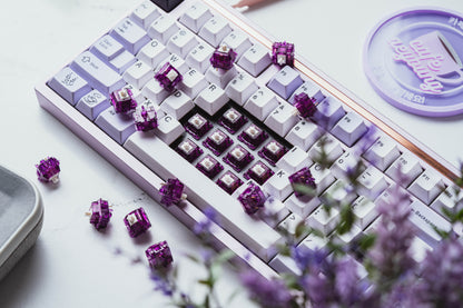 Prevail Nebula Switches V2