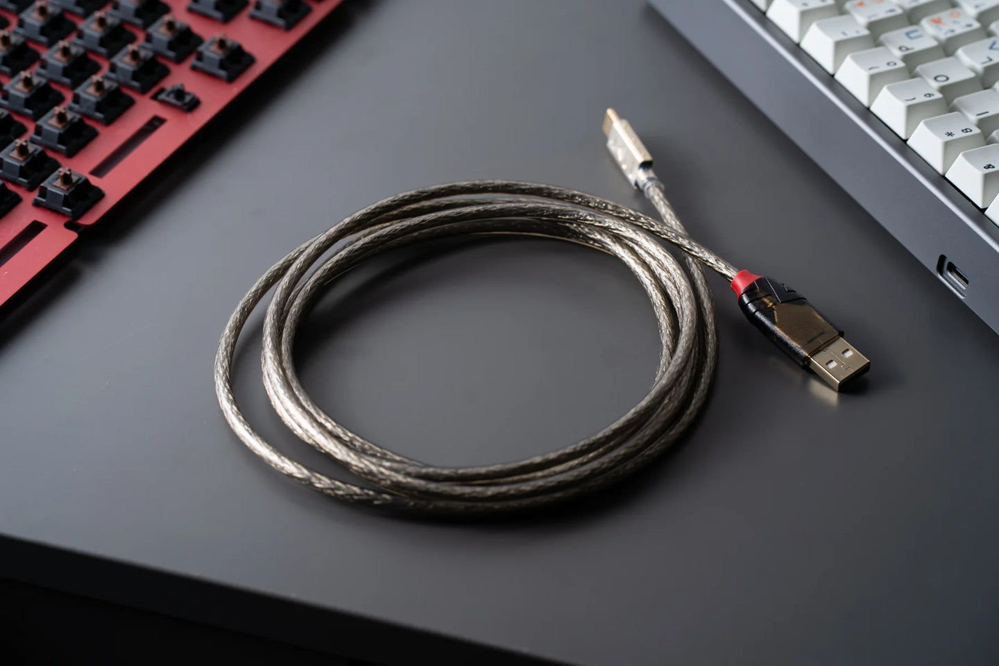 Cavo USB A con USB B LINDY 41755 Trasparente 5 m | Leroy Merlin